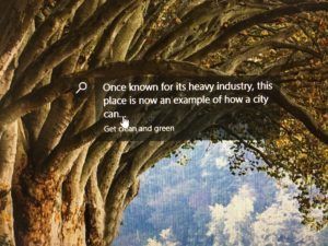 Microsoft Clean and green IMG 0103 300x225.jpg