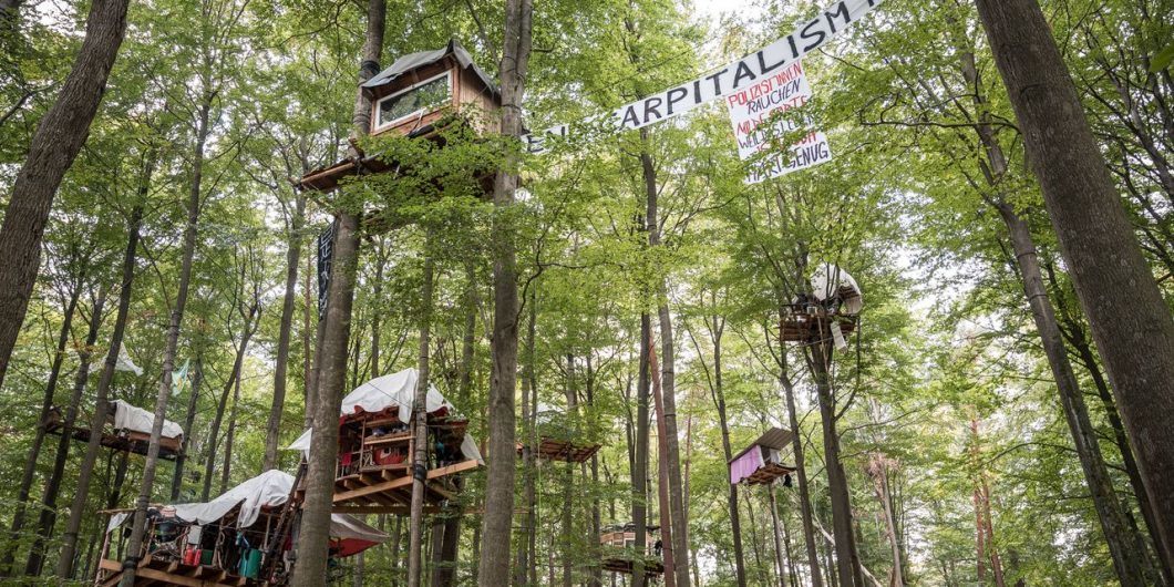 Treehouses e1670962121714 1060x530.jpg