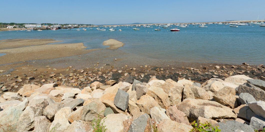 shutterstock 83391532 scaled e1674754226960 1060x530.jpg