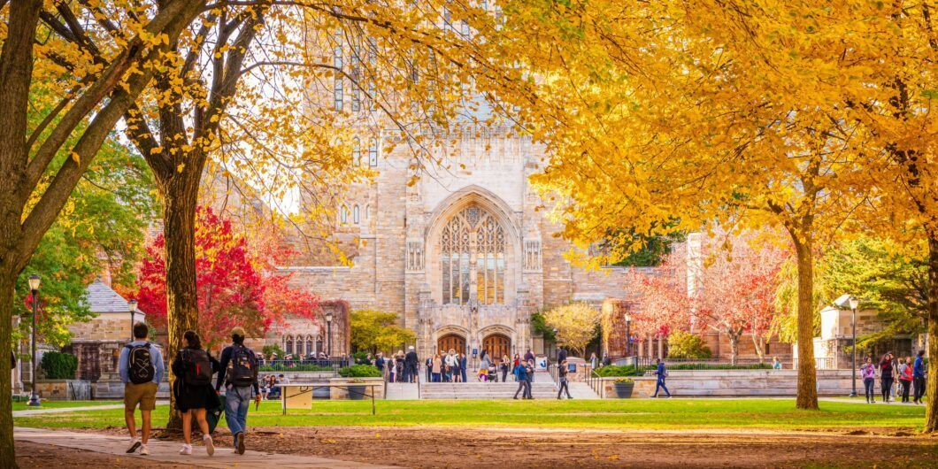 Yale Library 1060x530.jpg