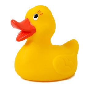 rubber duck 300x293.jpg