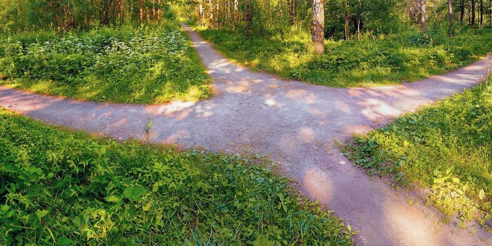 The pedestrian footpaths intersect in the park in summer in sunny weather