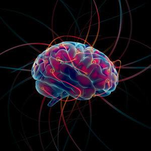 brain vobes 300x300.jpg