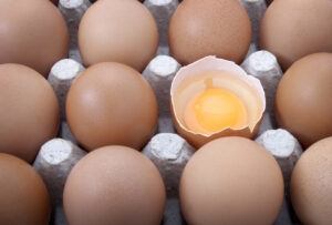 broken egg 300x203.jpg