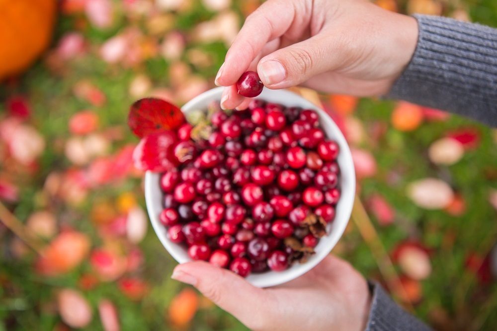 cranberries.jpg