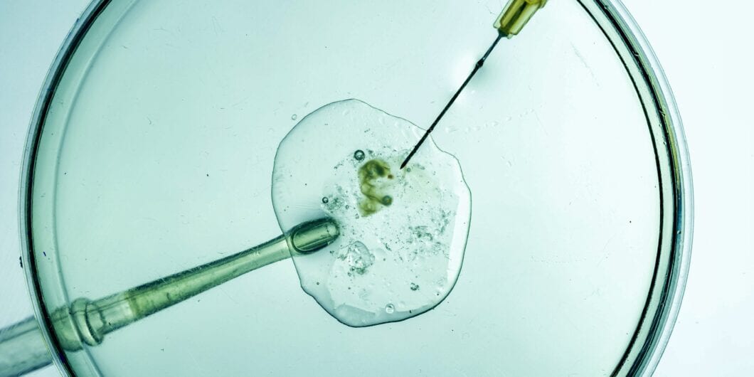 In vitro fertilization process, scientific conception moment