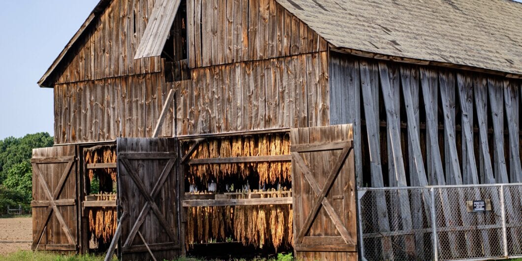 680A9F1E 8F07 4D43 8FEE E197ABF30D8F 1 201 a 1060x530.jpeg