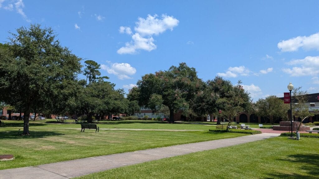 live oaks 1024x576.jpg
