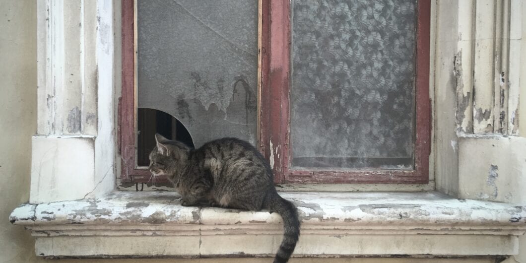 Broken window e1765377630959 1060x530.jpg