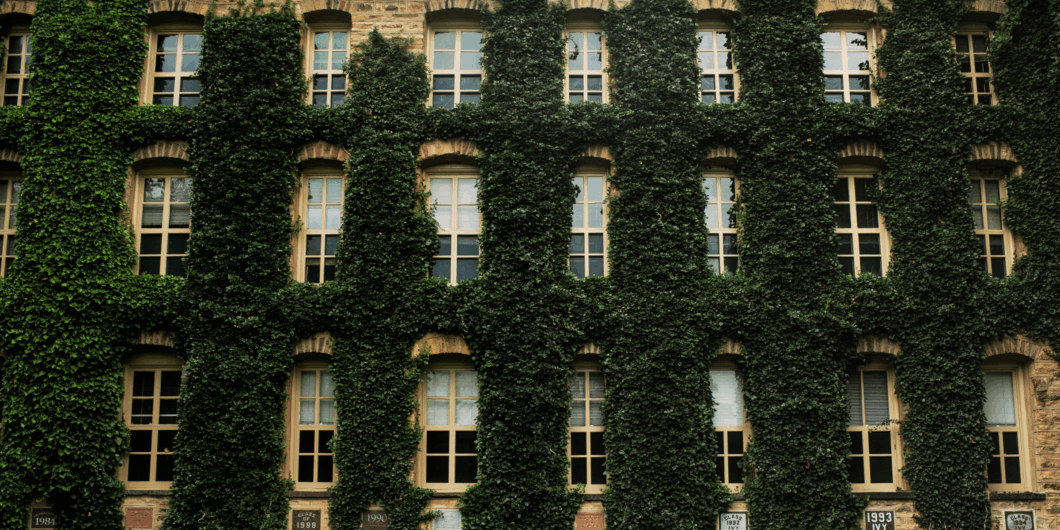 ivy covered wall Princeton 1060x530.png